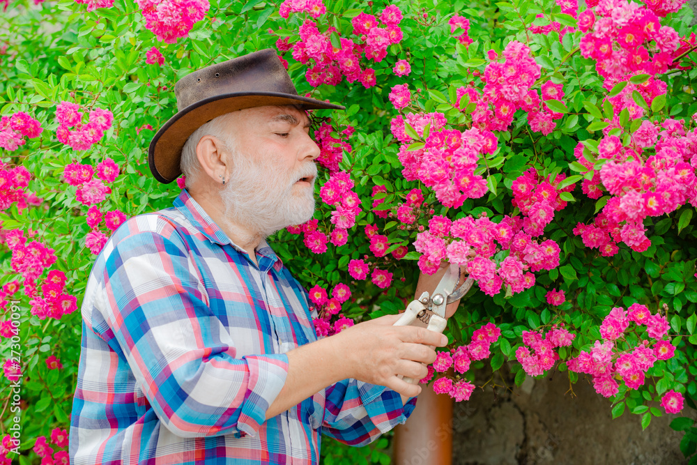 Happy farmer in cowboy hat having fun on field. Retirement planning. Grandfather. Gardener cutting flowers in his garden.