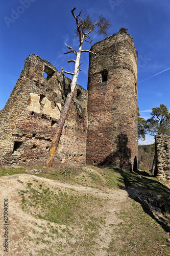 Remains of Gutstejn castle tower and main building photo