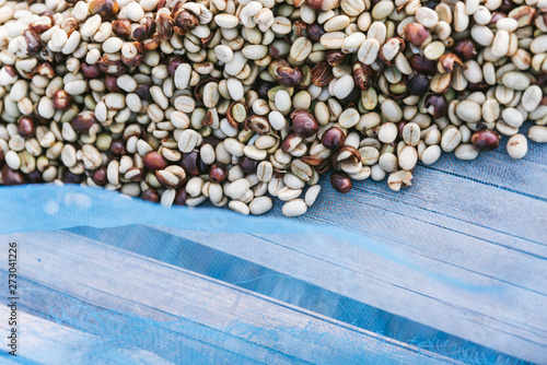 Sun dried Arabica coffee beans on blue net with copy space in the Akha village of Maejantai on the hill in Chiangmai, Thailand. photo