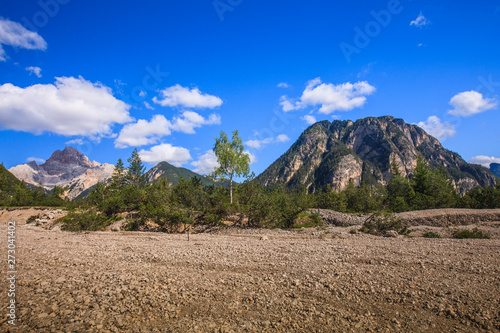 landscape forest in trentino with dolomiti mountain