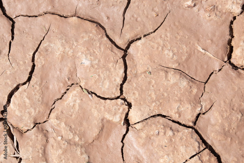 Fototapeta premium Mud crack,Brown cracked ground texture or background.