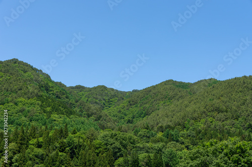 新緑の山と青空 © kikisora