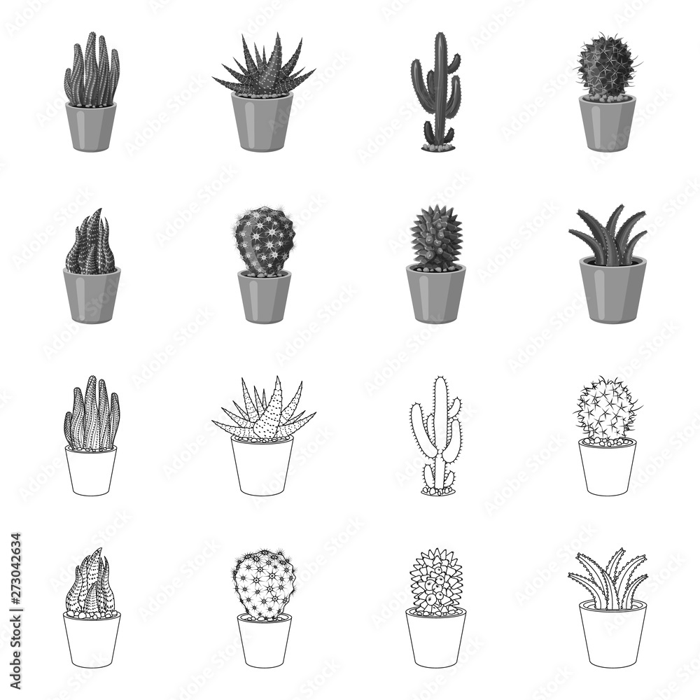Vector design of cactus and pot logo. Collection of cactus and cacti stock vector illustration. Vector design of cactus and pot logo. Collection of cactus and cacti stock vector illustration.