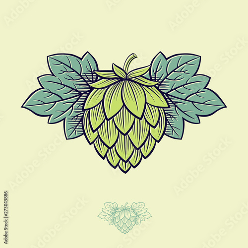 Green Hop Cone. Hop cone logo. Beer Cone Hop and Leaves Illustration. Engraving Style. Monochrome option.