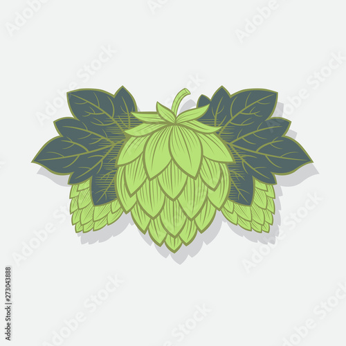 Green Hop Cones. Hop cone logo. Beer Cones Illustration. Three Hops and Leaves. Engraving Style.