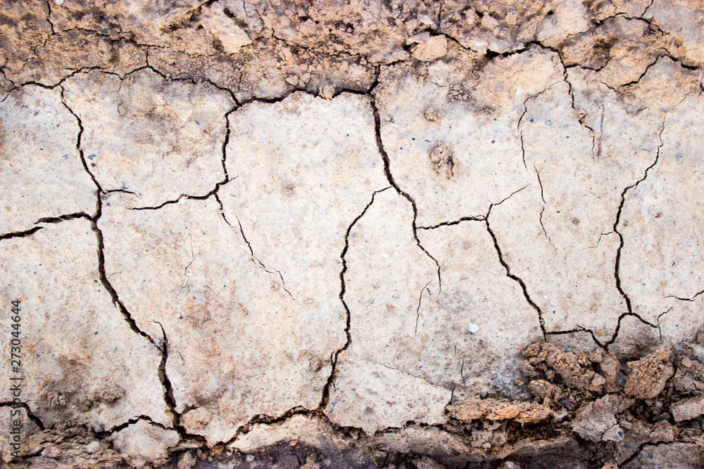 Fototapeta premium texture of cracks in dry ground