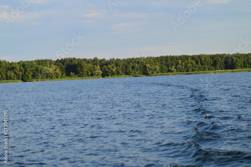 View from river to shore