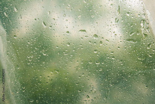 water droplets on translucent, misted glass. Spring rain drops on fogged window close up. blurred background copy space