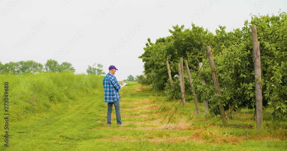 Male researcher looking at trees while writing on clipboard Male researcher looking at trees while writing on clipboard
