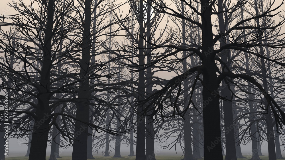 Trees in the fog. The smoke in the forest in the morning. A misty morning among the trees Trees in the fog. The smoke in the forest in the morning. A misty morning among the trees