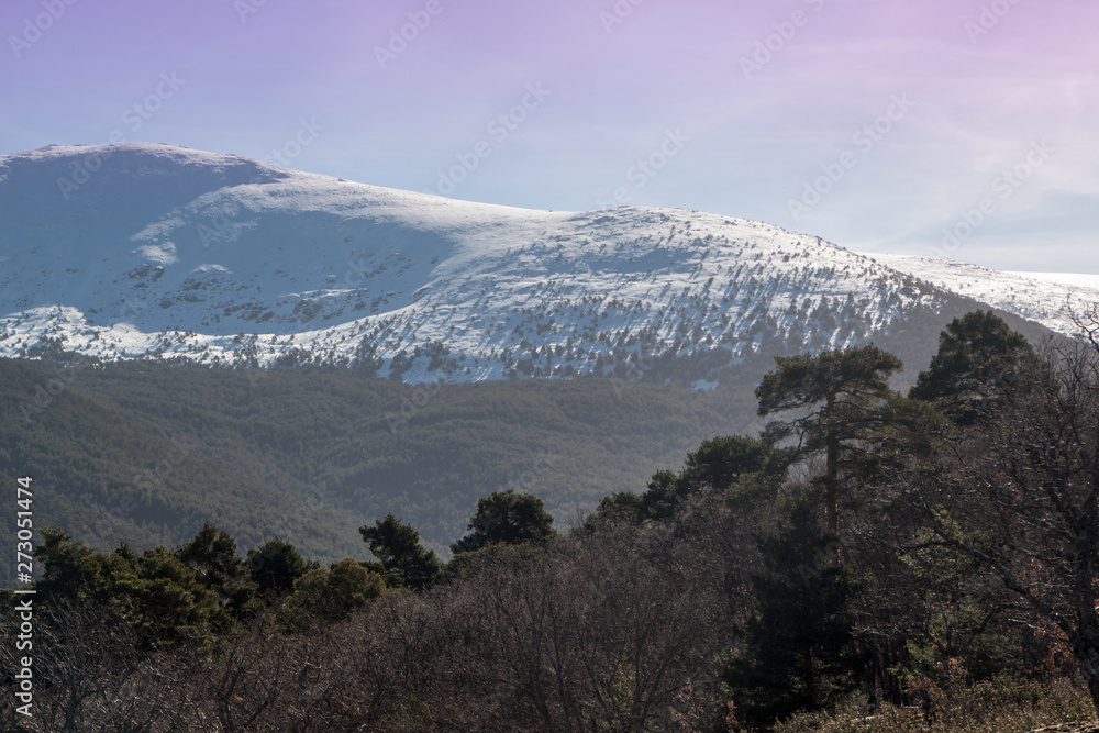 Fototapeta premium Village of Valsain, known for its wood. Donkey grazing, typical houses and peak of Peñalara. In Sierra de Guadarrama National Park, Segovia, Spain.