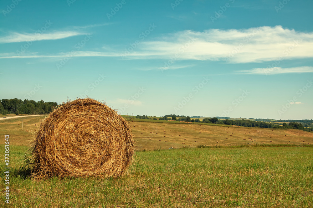 Hayfield. Hay harvesting Sunny autumn landscape. rolls of fresh dry hay in the fields. tractor collects mown grass. fields of yellow mown grass against a blue sky. Hayfield. Hay harvesting Sunny autumn landscape. rolls of fresh dry hay in the fields. tractor collects mown grass. fields of yellow mown grass against a blue sky.