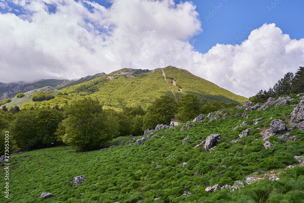 Mountain meadow with rocks and bushes in Mountains Madonie are one of principal mountain ranges on island of Sicily, located in southwestern Italy, Range is located within Palermo Province of Sicily.