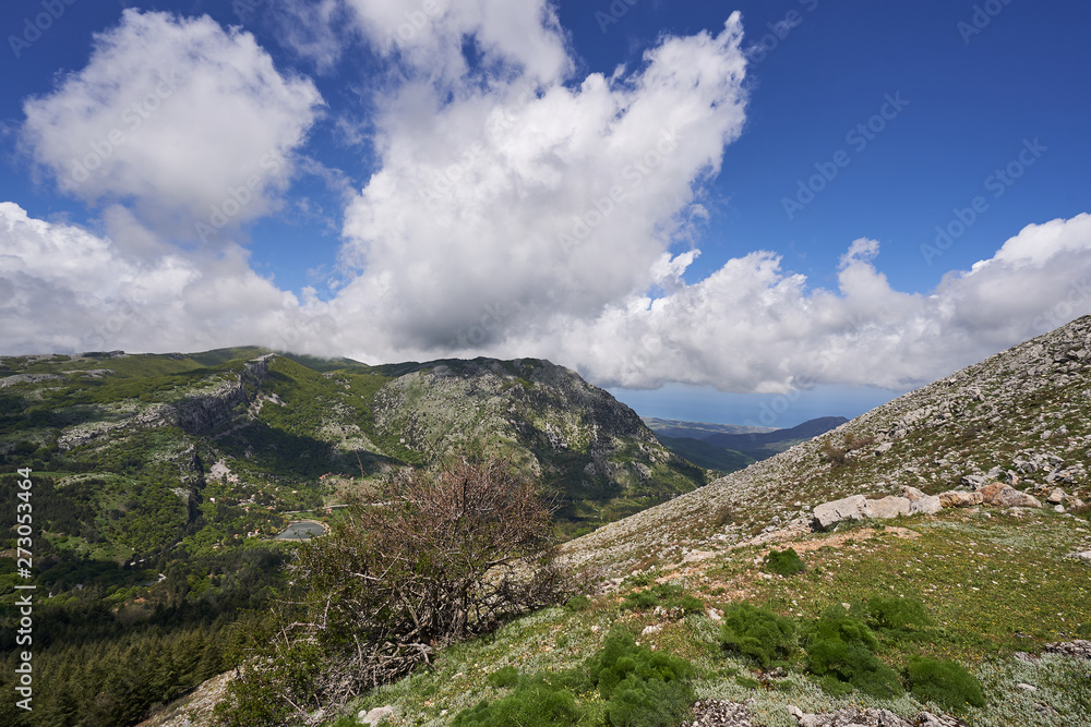 Colourful landscape Picture of mountains with meadows, rocks, top of the mountains and forest close to Petralia Sottana city in Madonie mountain range in Sicily, Italy taken in summer sunny day. 