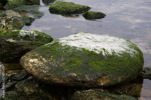 Peaceful landscape with stones,green moss and rocks into sea water