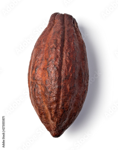 Fotografi Cocoa pod on a white background