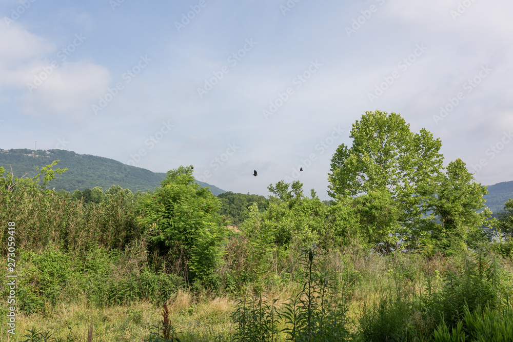 Obraz premium Home and Landscape