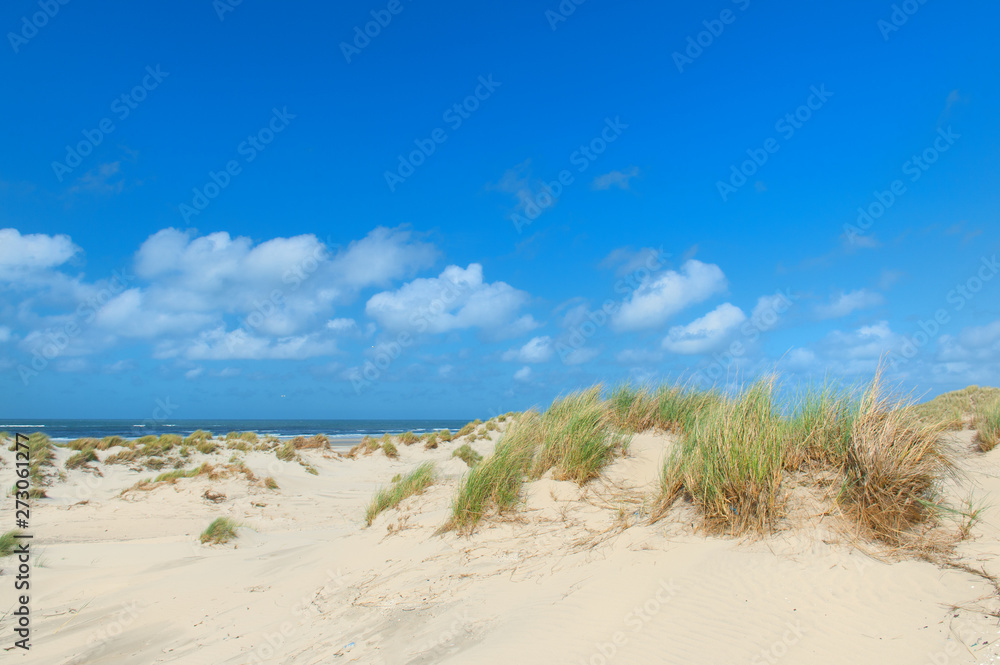 Landscape empty beach with dunes