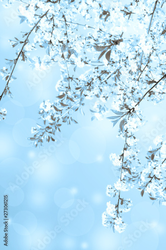 Lovely vertical background made of blooming cherry tree branch with shiny blurred sparkles