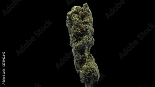 Cannabis, Special, Sour Diesel, Rotate, Strain, Bud