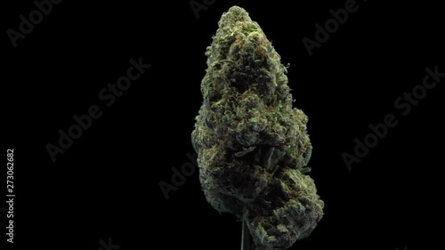 Cannabis, USA Weed, Zkittlez, Strain, Bud, Macro, Rotate
