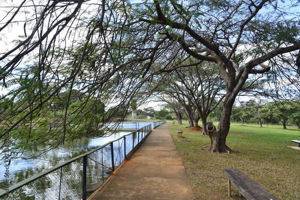 A beautiful view of Brasilia Zoo in the city. A beautiful view of Brasilia Zoo in the city.