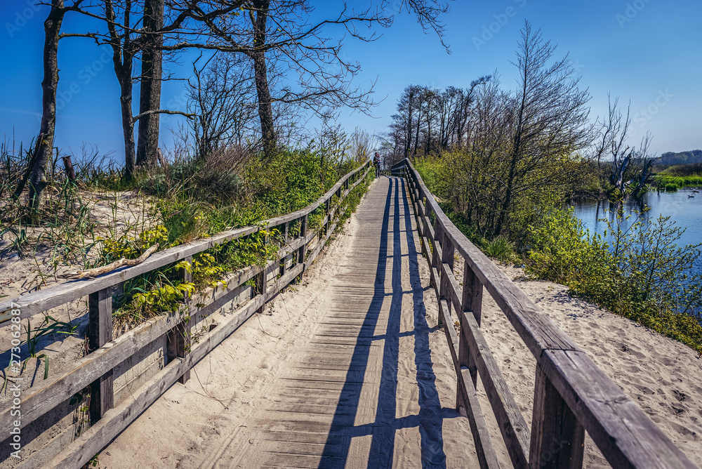 Pedestrian and bike path in Eastern Ecopark of Kolobrzeg city on the Baltic Sea coast in Poland Pedestrian and bike path in Eastern Ecopark of Kolobrzeg city on the Baltic Sea coast in Poland