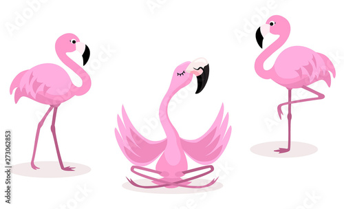 Set of cartoon flamingos isolated on white background. Vector illustration.