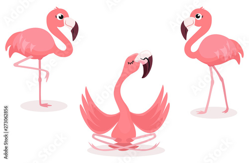 Set of cartoon flamingos isolated on white background. Vector illustration.
