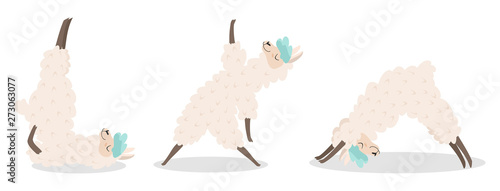 Set of stylish cartoon llamas in various poses of yoga. Vector illustrations isolated on white background.