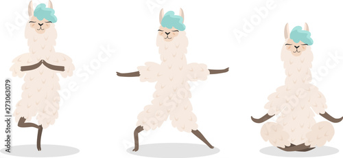 Set of stylish cartoon llamas in various poses of yoga. Vector illustrations isolated on white background.