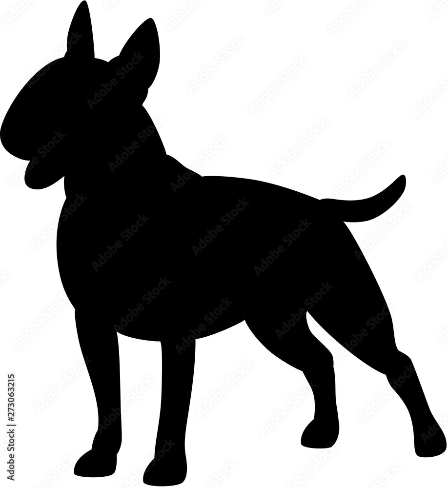 Bull terrier dog silhouette