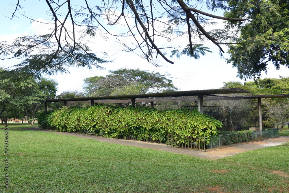 A beautiful view of Brasilia Zoo in the city. A beautiful view of Brasilia Zoo in the city.
