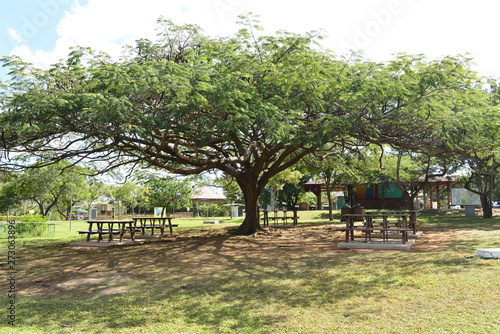 A beautiful view of Brasilia Zoo in the city.