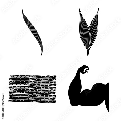 Vector design of human and body  icon. Set of human and cells stock symbol for web.