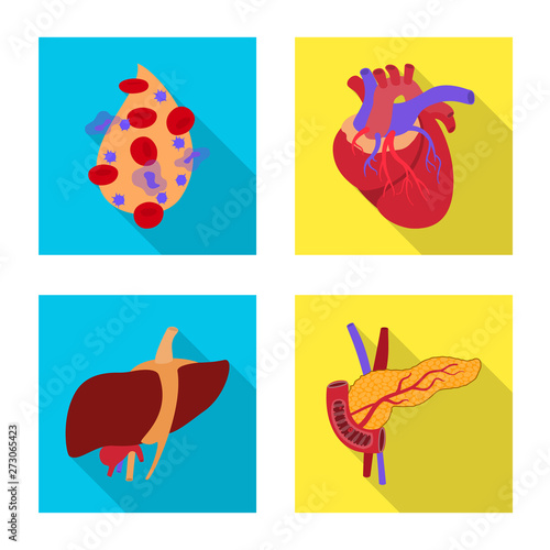 Vector illustration of human and health sign. Collection of human and scientific vector icon for stock.