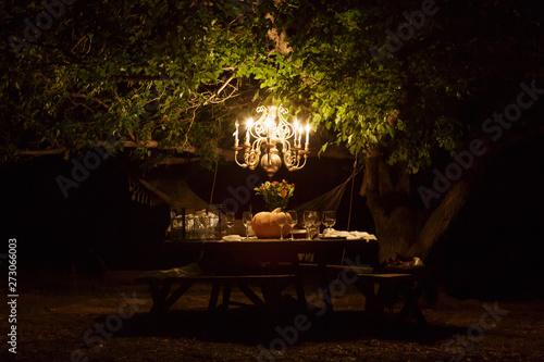 Chandelier hangs from tree over dining table outdoors