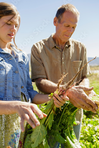 Father and daughter farmers look at turnip