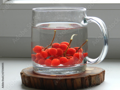 viburnum in a transparent cup