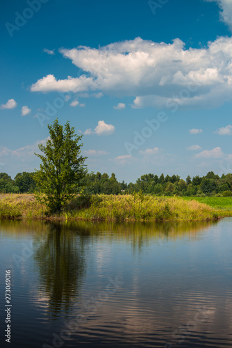 Fototapeta Naklejka Na Ścianę i Meble -  Village landscape summer lake and fields 