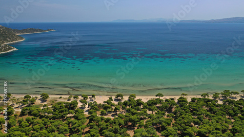 Aerial photo taken by drone of caribbean tropical exotic lagoon with turquoise clear sea sandy beach and rare pine trees