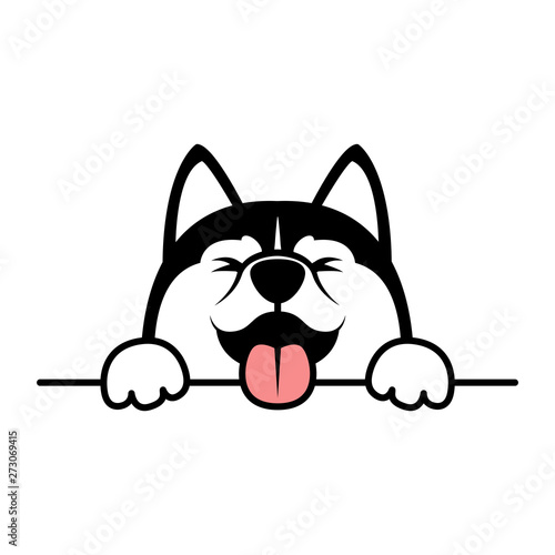 Funny siberian husky dog paws up over wall, vector illustration