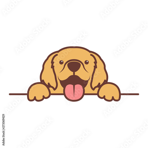 Cute golden retriever puppy paws up over wall, dog face vector illustration