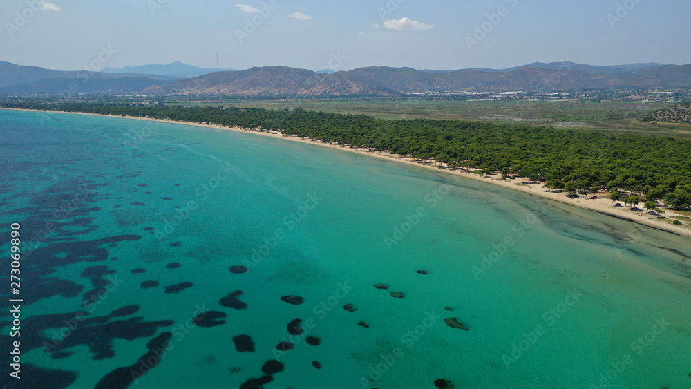 Obraz premium Aerial photo taken by drone of caribbean tropical exotic lagoon with turquoise clear sea sandy beach and rare pine trees