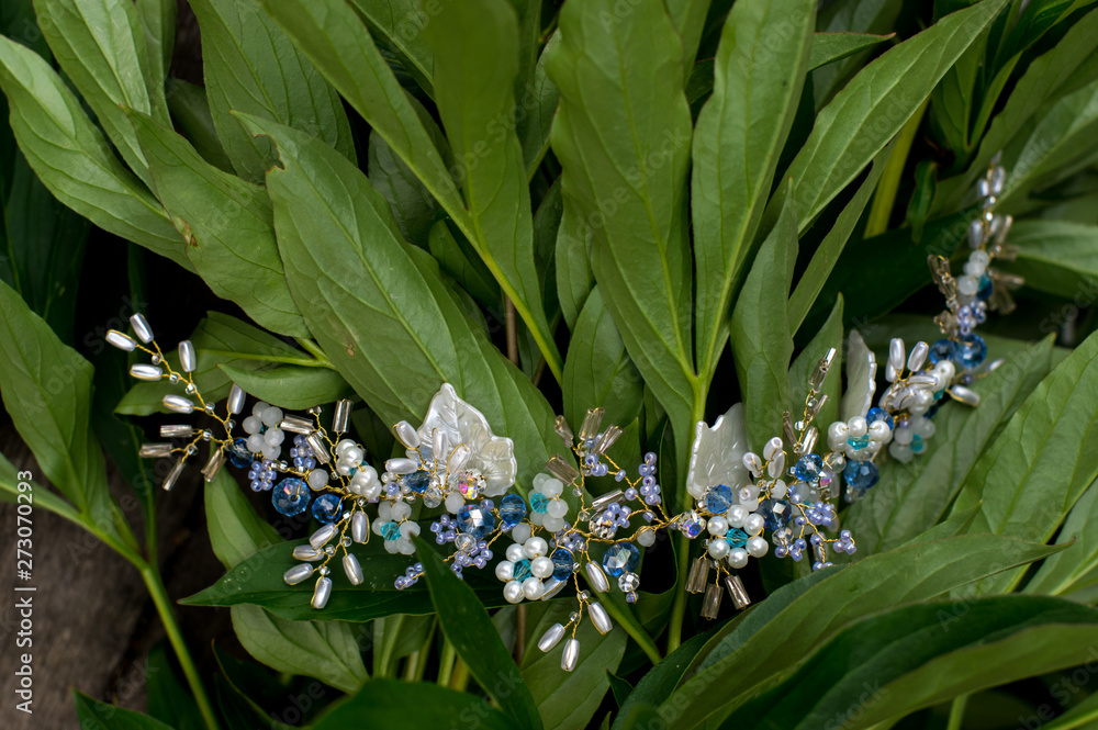 Ταπετσαρία Beautiful white and blue jewelry with leaves