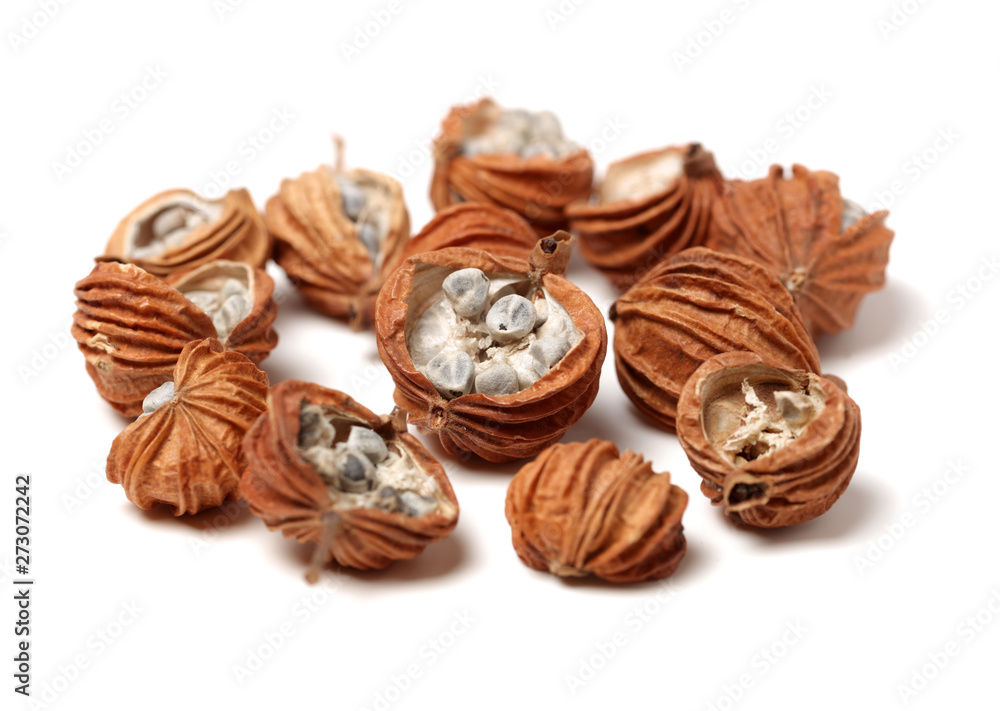 Dried Herbs, Latin name: Amomum villosum Lour. Chinese name: Xiang Sha Ren and known as Cocklebur-like Amomum Fruit, Fructus Amomi, Villous Amomum Fruit , Chinese herb medicinal on white background Dried Herbs, Latin name: Amomum villosum Lour. Chinese name: Xiang Sha Ren and known as Cocklebur-like Amomum Fruit, Fructus Amomi, Villous Amomum Fruit , Chinese herb medicinal on white background