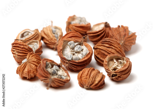 Dried Herbs, Latin name: Amomum villosum Lour. Chinese name: Xiang Sha Ren and known as Cocklebur-like Amomum Fruit, Fructus Amomi, Villous Amomum Fruit , Chinese herb medicinal on white background