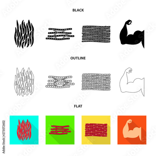 Isolated object of fiber and muscular logo. Collection of fiber and body  stock vector illustration.