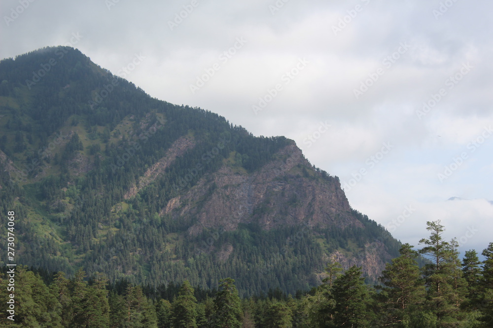 Obraz premium view of mountains