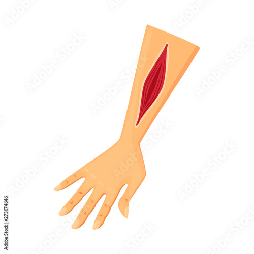 Isolated object of injury and arm icon. Set of injury and blood  stock symbol for web.